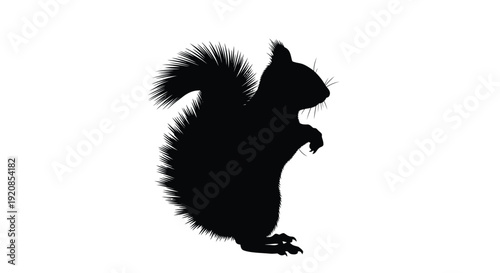 A striking black squirrel profile against a white background silhouette