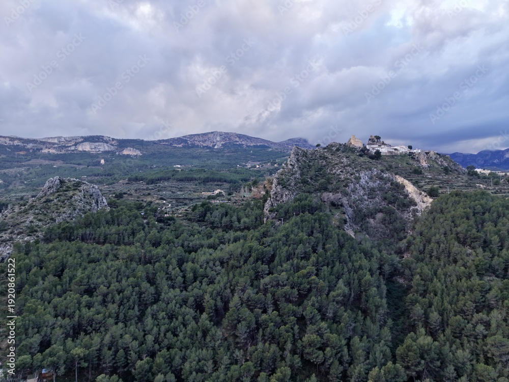 Fototapeta premium Thick woodland landscape, Sprawling forest of pine covering hills with scenic paths and lookout points