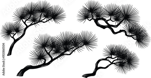 Black vector silhouette set of Japanese pine bonsai trees with needle branches for oriental garden nature and zen asian branding, cad drawing flat vector illustration