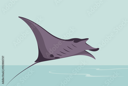 Majestic manta ray swimming in ocean waters with elegance