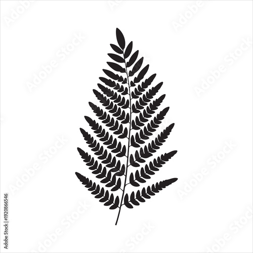 Leaf Fern Silhouette, Fern Leaf Botanical Silhouette Illustration Vector