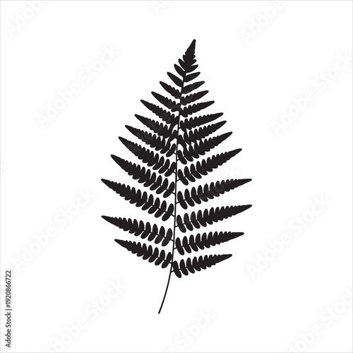 Leaf Fern Silhouette, Fern Leaf Botanical Silhouette Illustration Vector