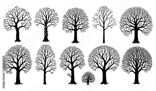 Hand Drawn Black Branch Tree Silhouette Set with Naked Winter Trees Vector Illustration