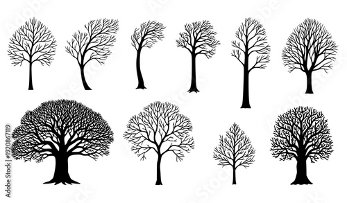 Minimal Hand Drawn Leafless Tree Silhouette Icons Set for Winter and Nature Design