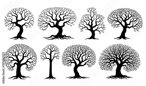Black Naked Tree Silhouette Collection Hand Drawn Branch Vector Set for Gothic and Winter Themes