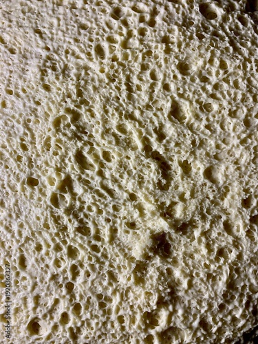 Close-up macro of fresh yeast dough with visible air bubbles and porous texture. Natural beige dough surface during fermentation. Abstract food background with organic pattern, baking process detail.