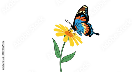 Colorful butterfly on a yellow flower. Vector illustration isolated on black background.