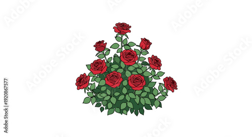 Illustration of a red rose bush with green leaves on a black background. Vector art.