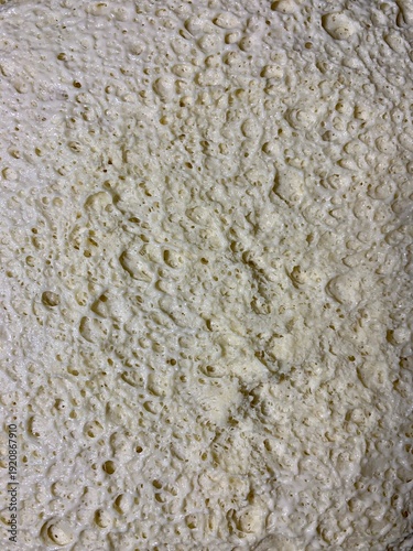 Close-up macro of fresh yeast dough with visible air bubbles and porous texture. Natural beige dough surface during fermentation. Abstract food background with organic pattern, baking process detail.