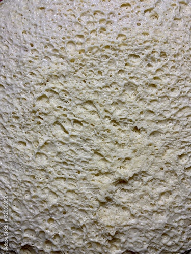Close-up macro of fresh yeast dough with visible air bubbles and porous texture. Natural beige dough surface during fermentation. Abstract food background with organic pattern, baking process detail.
