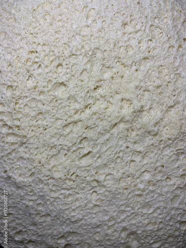 Close-up macro of fresh yeast dough with visible air bubbles and porous texture. Natural beige dough surface during fermentation. Abstract food background with organic pattern, baking process detail.