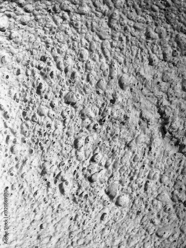 Monochrome close-up of fermented yeast dough surface with detailed air pockets and organic structure. High contrast black and white food texture background highlighting natural baking patterns.