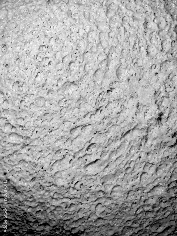 Obraz premium Monochrome close-up of fermented yeast dough surface with detailed air pockets and organic structure. High contrast black and white food texture background highlighting natural baking patterns.