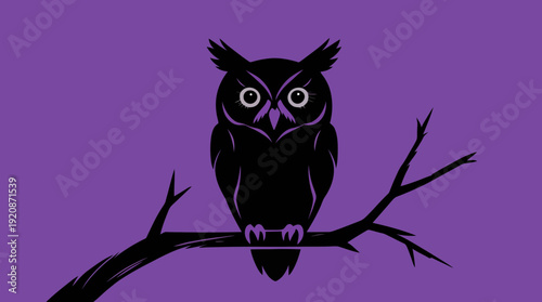 Black owl sitting on branch.