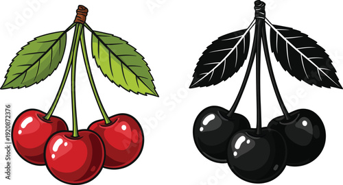 A pair of cherries with leaves on white background