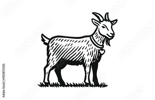 Hand Drawn Engraving Woodcut Illustration of Cute Goat with Collar