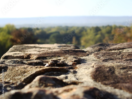rocks in the woods