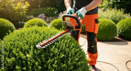 Close Up of Professional Gardener Trimming Hedge with Power Tool