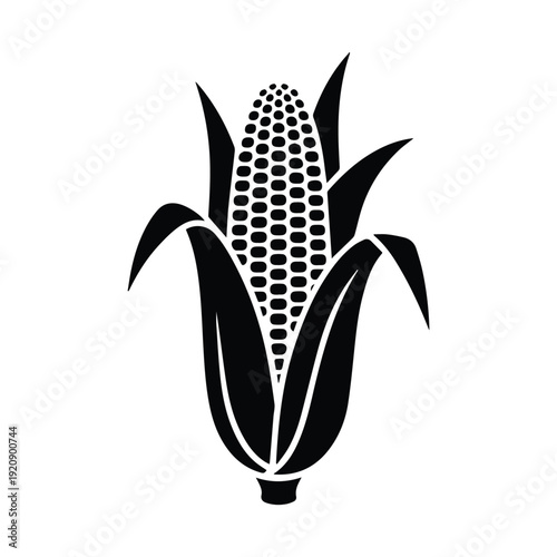 Stunning black and white illustration of corn on the cob