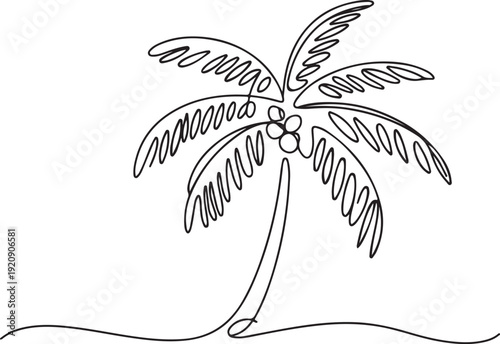 continuous line of tropical coconut tree.one line drawing of palm tree.one line vector illustration with white background