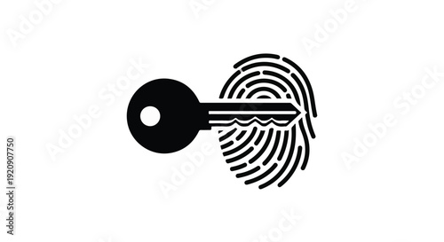 Key with fingerprint authentication security concept