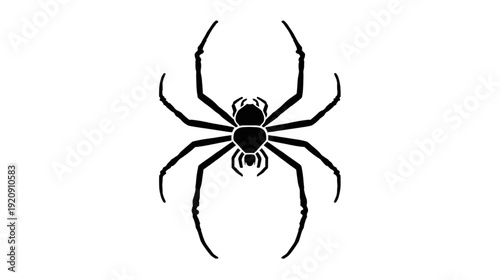 a brave and tough black spider