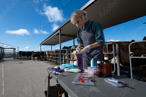 Trace element sampling in dairy cows