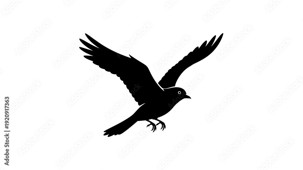 Fototapeta premium Bird in Flight Silhouette