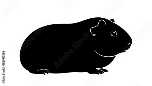 Guinea Pig Silhouette