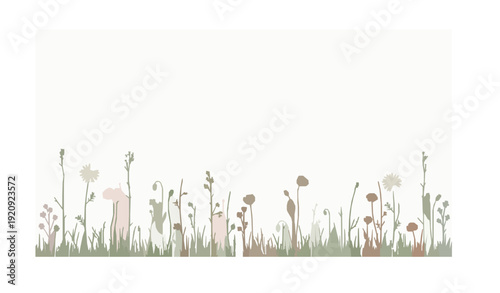 Delicate meadow wildflower bottom border flat vector botanical decoration isolated on white