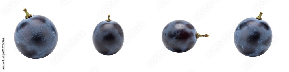 Fototapeta premium Set and collection of fresh black grapes, ripe dark blue grapes and juicy organic berries for healthy wine and fruit design, isolated on white transparent PNG background