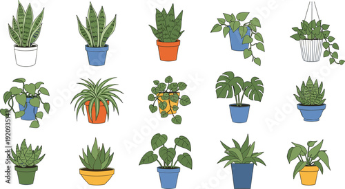 Collection of various houseplant vector icons in colorful pots, snake plants, monstera, spider plants, and pothos flat illustration set for indoor gardening design,