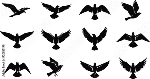 Flying bird silhouettes collection, black dove icons set with spread wings, isolated vector illustration for logo design and decoration