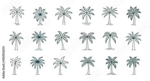 Collection of Diverse Palm Tree Vector Icons on White Background