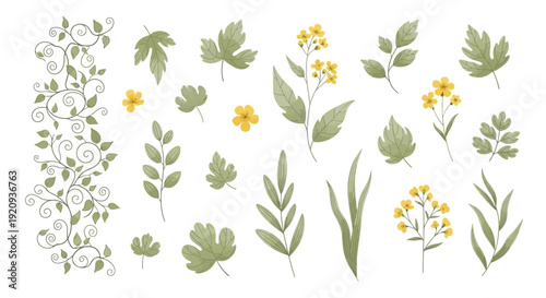 Whimsical Botanical Elements Vector Illustration Set with Swirling Vines and Flowers