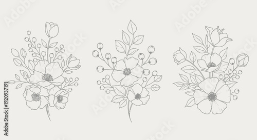 Set of Delicate Hand-Drawn Floral Arrangements and Botanical Elements, Art