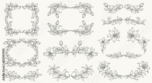 Elegant Floral Vector Frames, Borders, Corners and Decorative Elements Collection