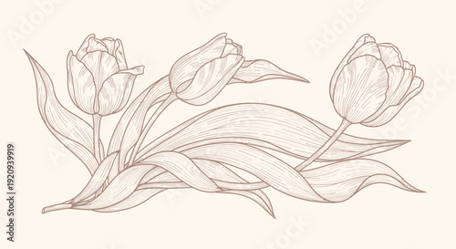Delicate Art Tulips and Leaves Vector Illustration in Sepia Tones