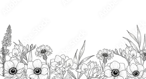 Elegant Black and White Floral Border Illustration with Anemones and Cornflowers