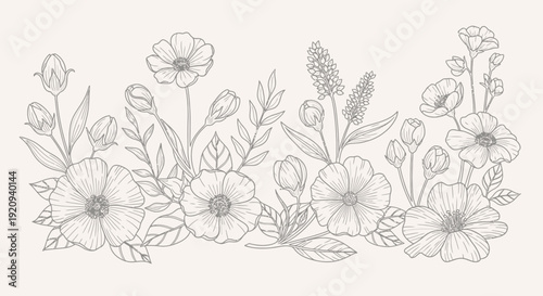 Elegant Botanical Art Illustration of Wildflowers and Leaves Border