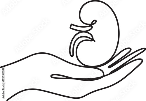 Continuous single line of hand holding kidney human body organ anatomical for donor donation medical science. one line art icon drawing vector