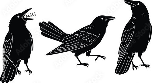 Black silhouette illustration of three crows in varied poses, vocalizing, standing, walking, vector design for wildlife, nature, bird art themes