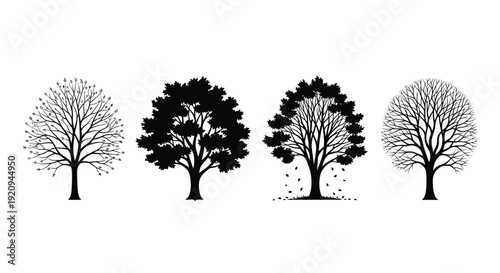 Four stylized trees showcasing different seasonal representations in black and white