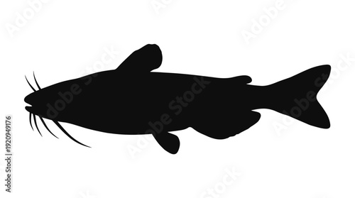 Black Silhouette Catfish Swimming d flat vector isolated white background
