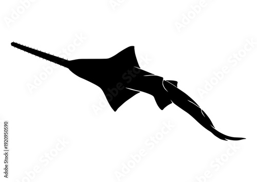 Sawfish