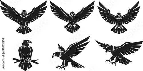 Eagle silhouettes set in flying landing and perched poses representing wildlife bird illustration