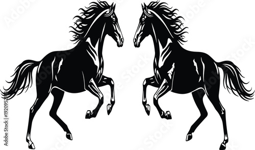 Set of black silhouettes of a polar bear, seal, and orca whale isolated on white background, cad drawing flat vector illustration for design