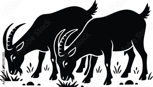 Set of black silhouettes of two domestic goats grazing on grass isolated on white background, cad drawing flat vector illustration for farm design