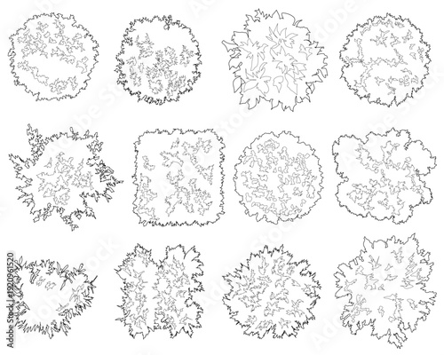 A collection of diverse 2D vegetation top-view CAD blocks, designed for architectural site plans and landscape layouts using clean, minimalist line art to represent various tree species.