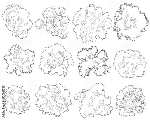 A comprehensive set of 2D top-view vegetation outlines. These symbols focus on organic textures and complex canopy patterns, ideal for high-detail architectural site plans and landscape masterplans.